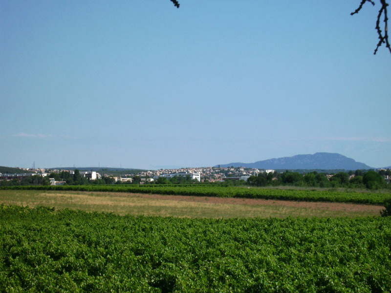 Das Bild zeigt die Landschaft von Juvignac