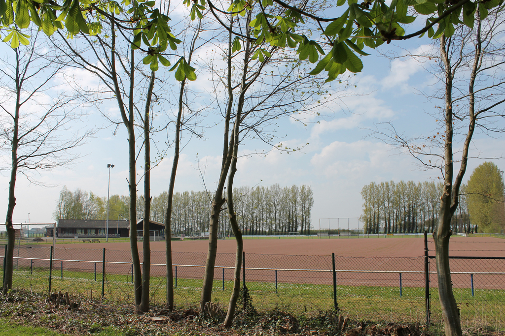Das Bild zeigt den Sportplatz in Grieht
